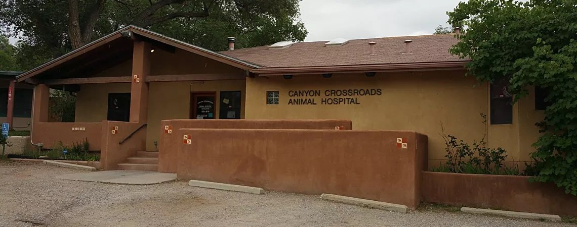 canyon crossroads animal hospital building